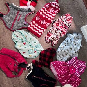 Dog clothes - vest, rain jacket, Christmas clothes, pjs